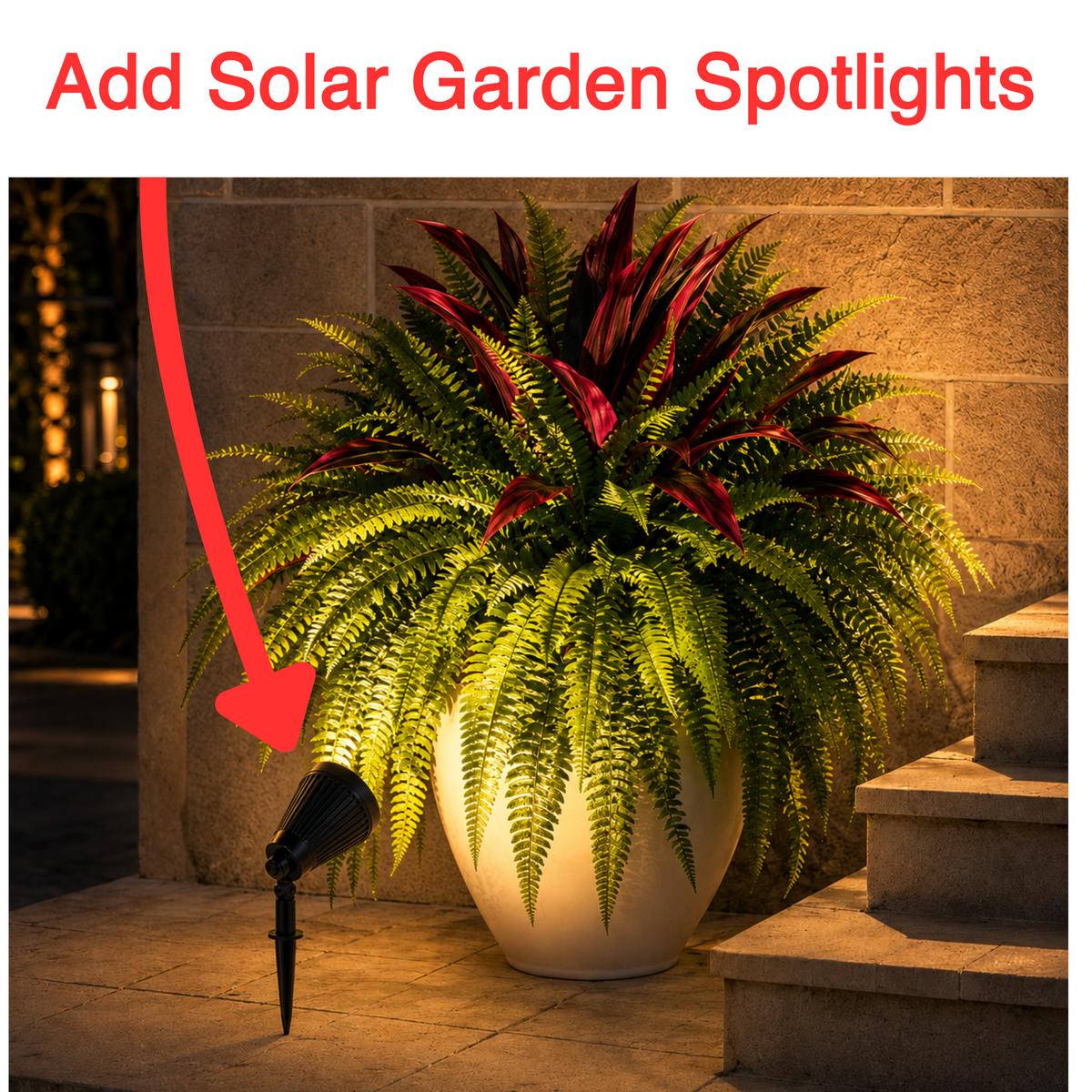 ✨ Make Your Plants Stand Out At Night Add Solar Garden Spotlights