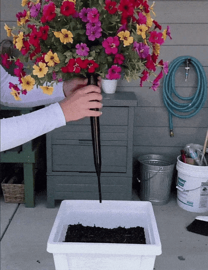 🔥 Last Day Sale Price | Turn Your Garden Into a Colorful Paradise