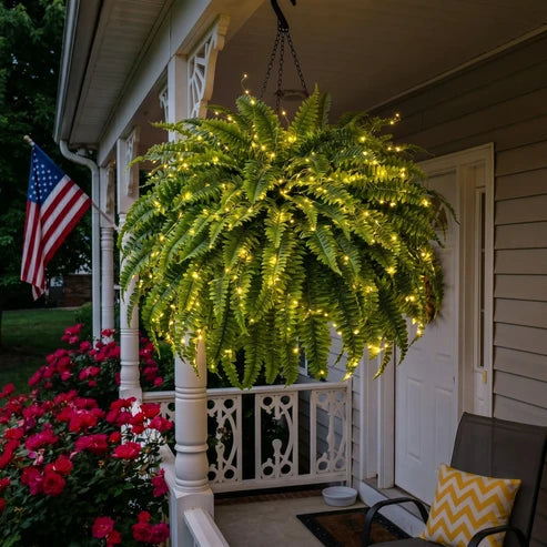 💛Glowing Boston Ferns with Lights – 🌿 Zero Watering, Zero Maintenance